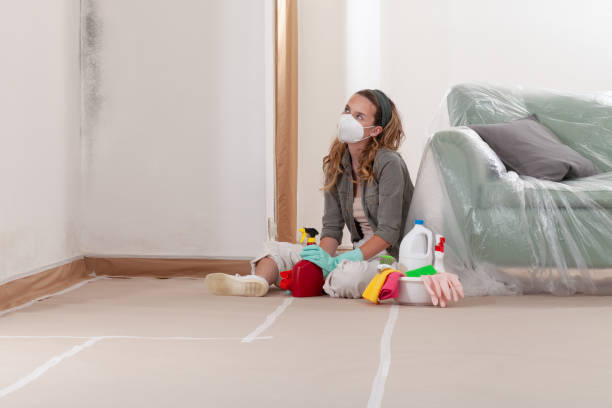 Reliable Commercial Mold Remediation contractor in Windsor Mill, MD by WQB Mold Removal